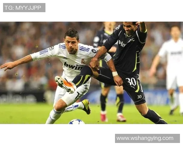 日本足球明星全景回顾与成就分析让我们一起探索他们的辉煌历程