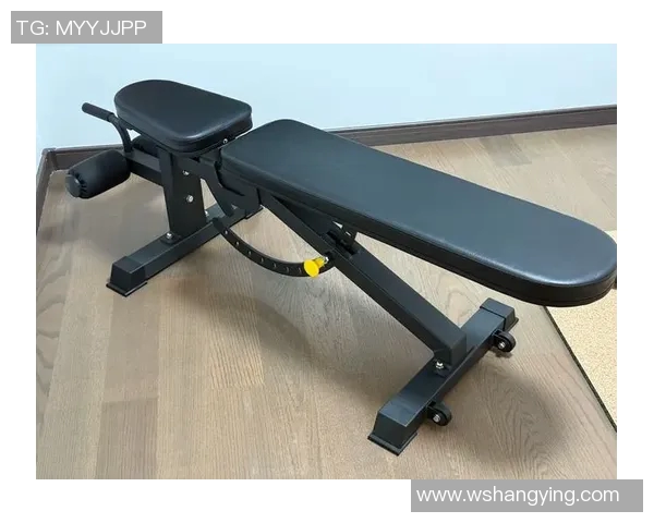 适合老年人的家用健身器材推荐助力健康生活提升身体素质与快乐心情